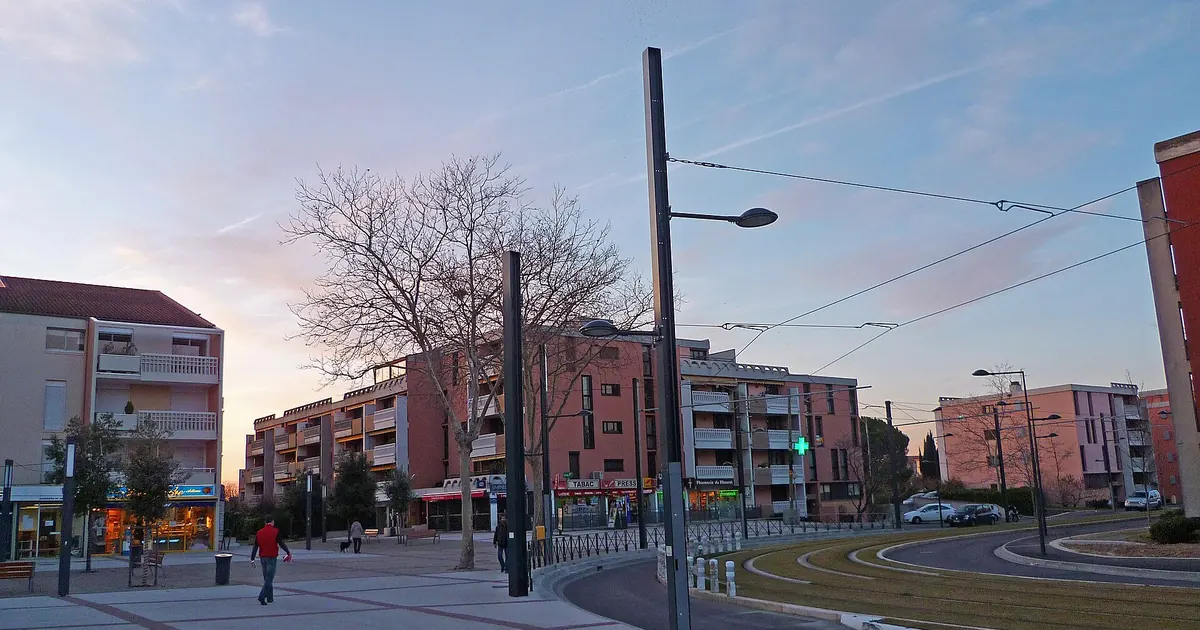 DPE à Pinot, Blagnac : un bâti récent et des étiquettes dominées par C — Blagnac